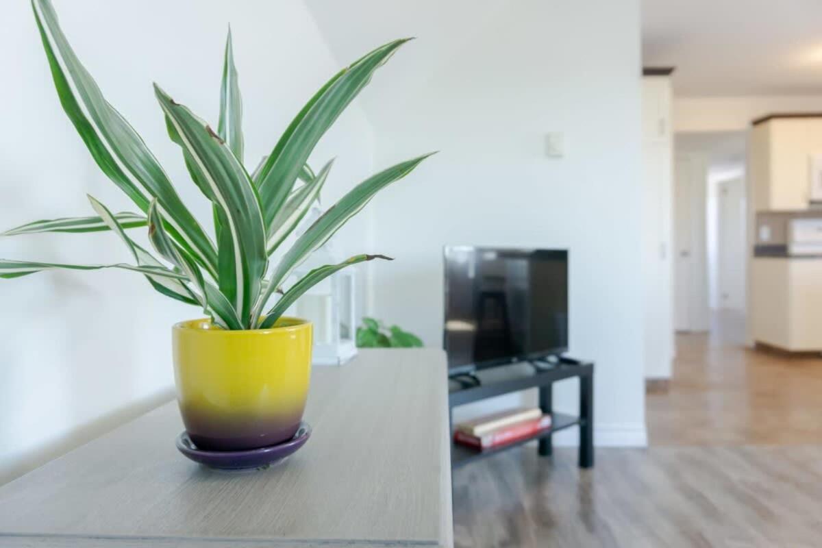 Amazing Location In Saint John 2 Bedroom Modern Parking New Εξωτερικό φωτογραφία