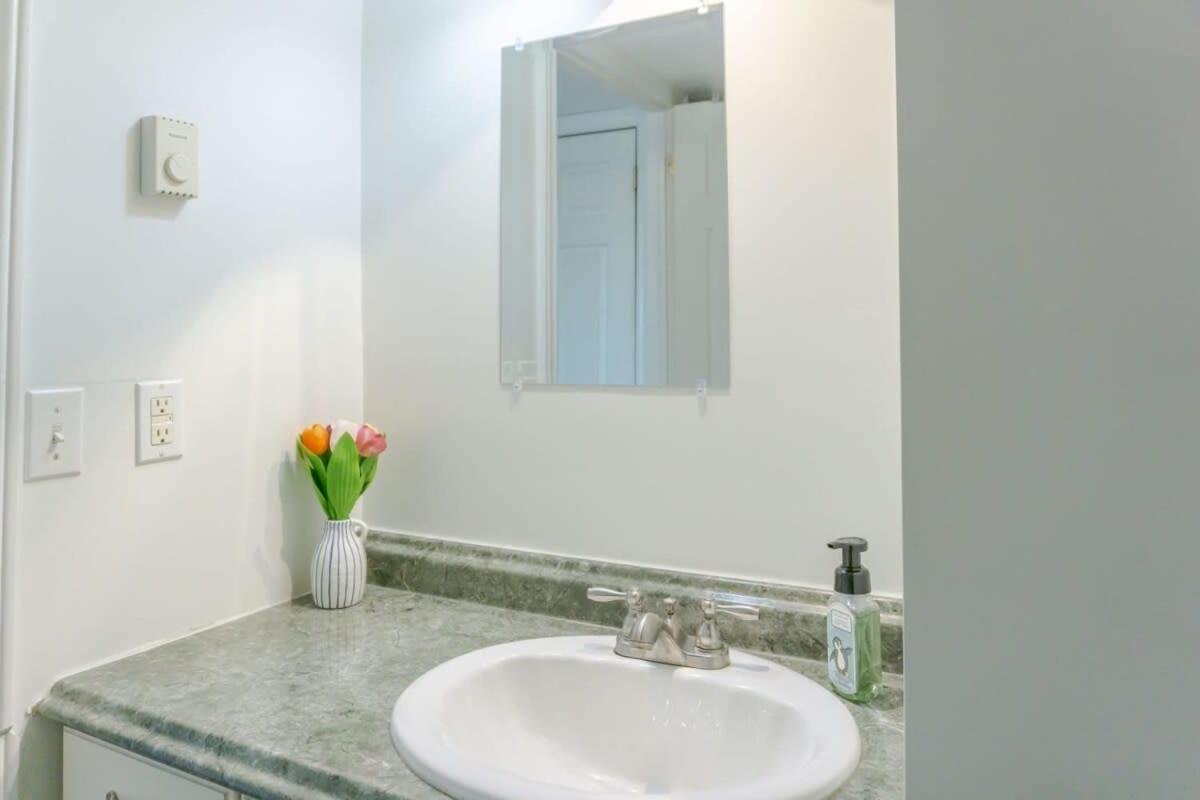 Amazing Location In Saint John 2 Bedroom Modern Parking New Εξωτερικό φωτογραφία